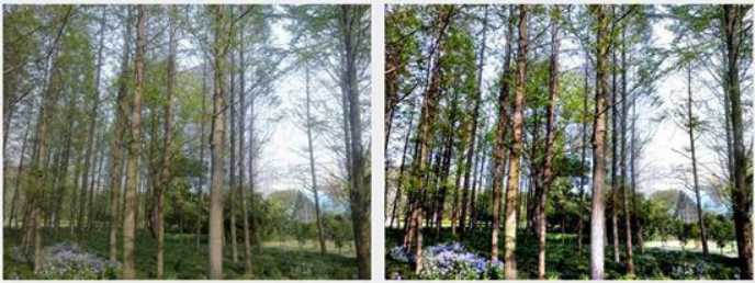 hdr on
